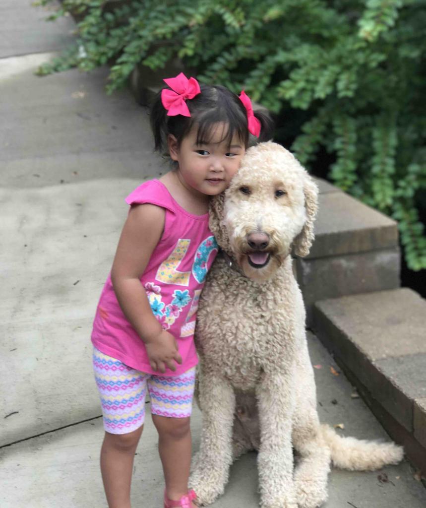 Маленькая китаянка с собакой
